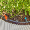 Micro-Drip-Irrigation Terrace Set (30 plants)