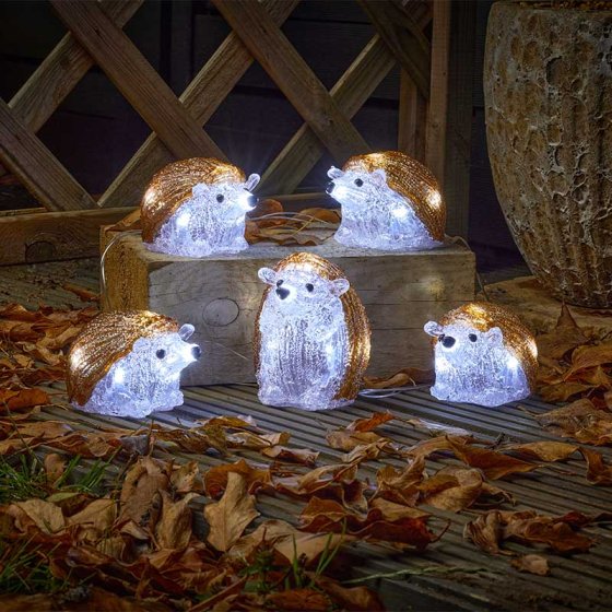 InLit Ice Hedgehogs 5 Pack