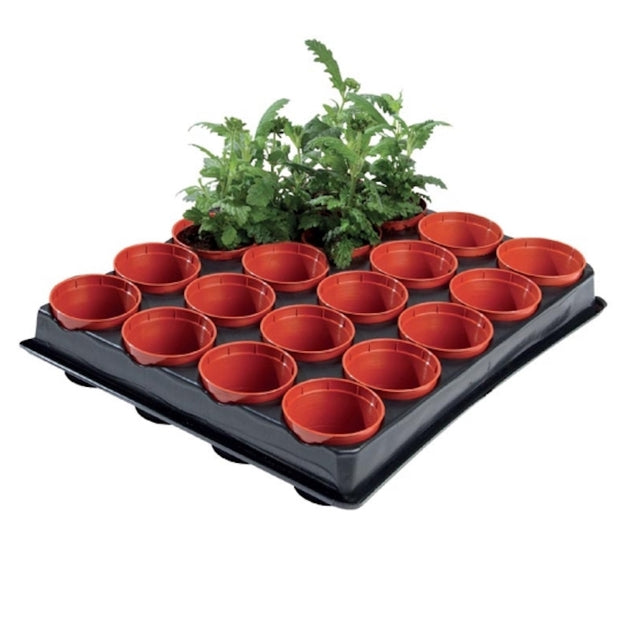 Mini Seed & Cutting Tray