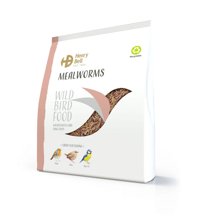 Mealworms 500g