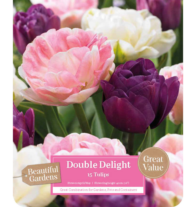 BG Double Delight