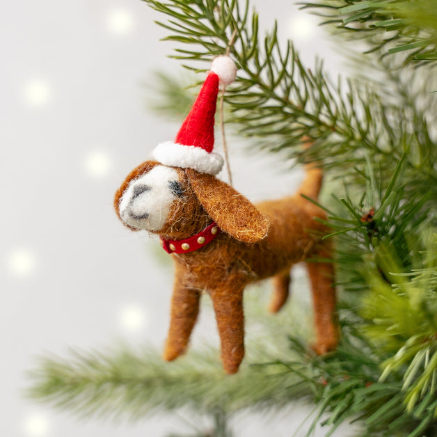 Mixed Wool Brown Dog with Santa Hat