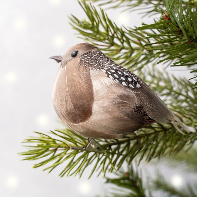 Plump Partridge Clip 12.5cm